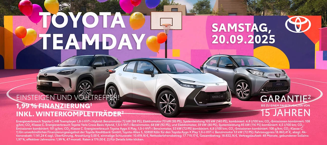 Toyota Team Day