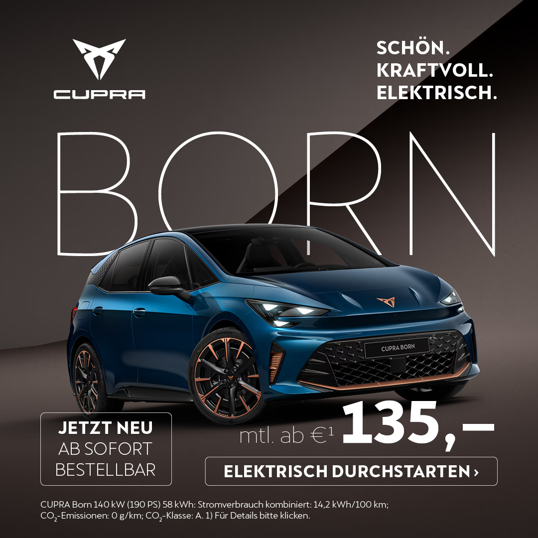 BEITRAG Cupra Born